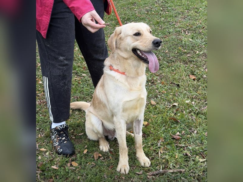 Odin ein richtiger Teeneger