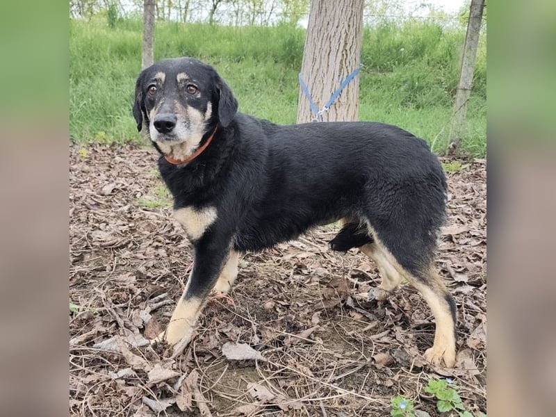 Debby eine gebrochene Seele