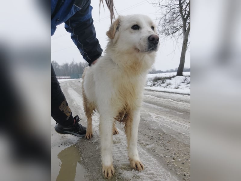 Fiona eine Schneekönigin