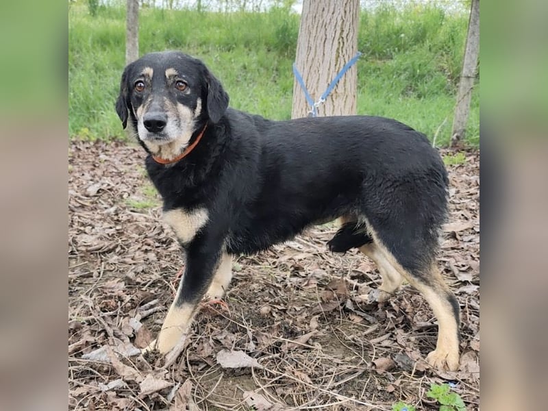 Debby eine gebrochene Seele