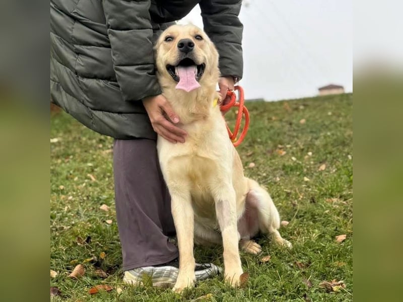 Odin der wundervolle