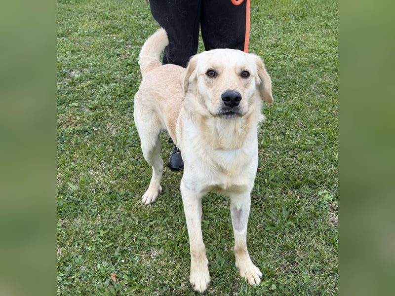 Odin ein richtiger Teeneger