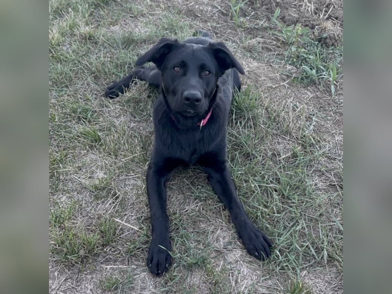 Mio ein treuer wundervoller Freund fürs Leben