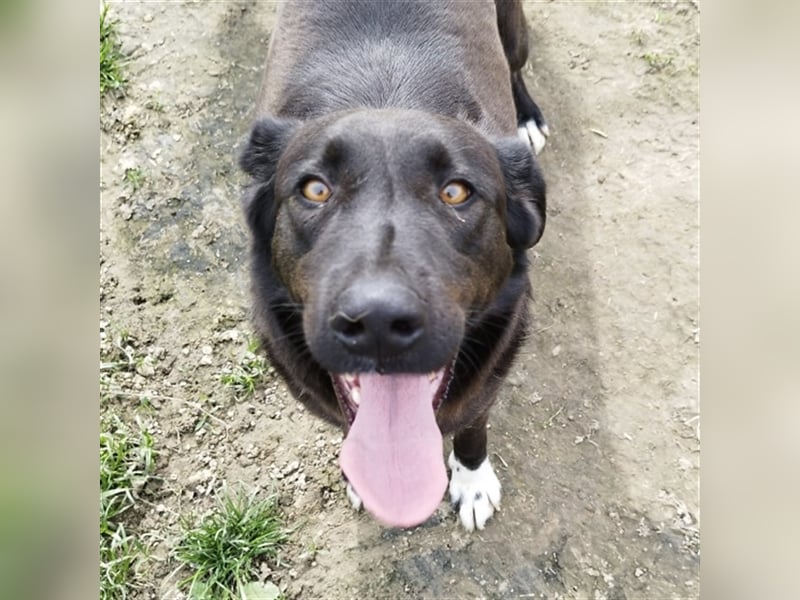 Zita die Großherzige