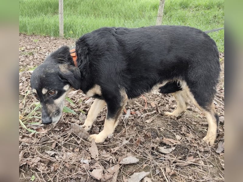 Debby eine gebrochene Seele