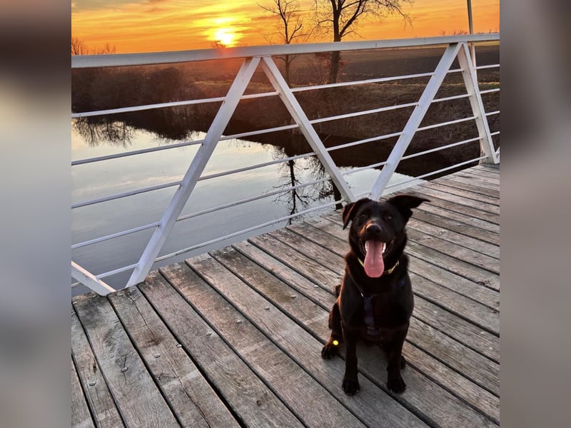 Mio ein treuer wundervoller Freund fürs Leben