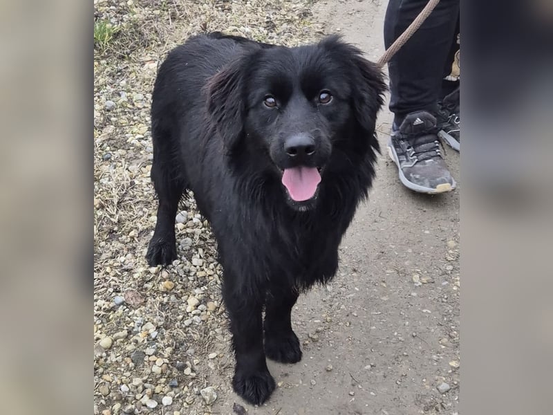 Jonte pure Lebensfreude