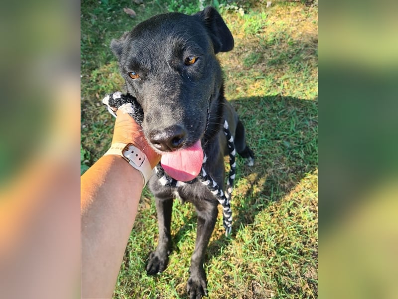 Bura ein feines Mädchen