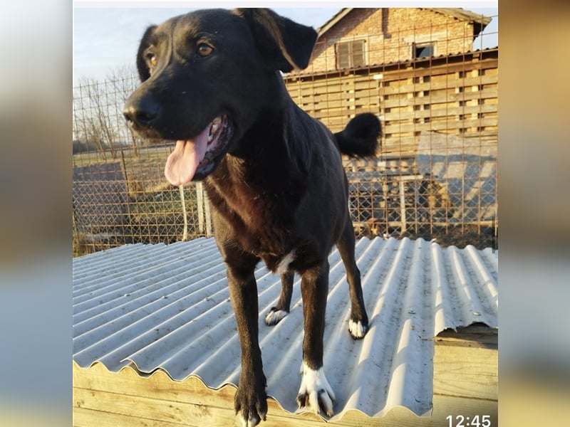 Zita die Großherzige