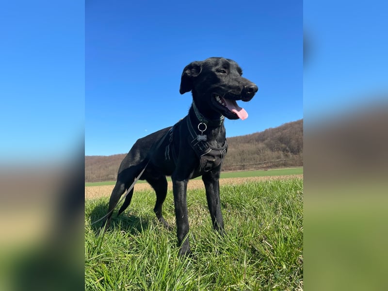 Kan braucht liebevolle Familie