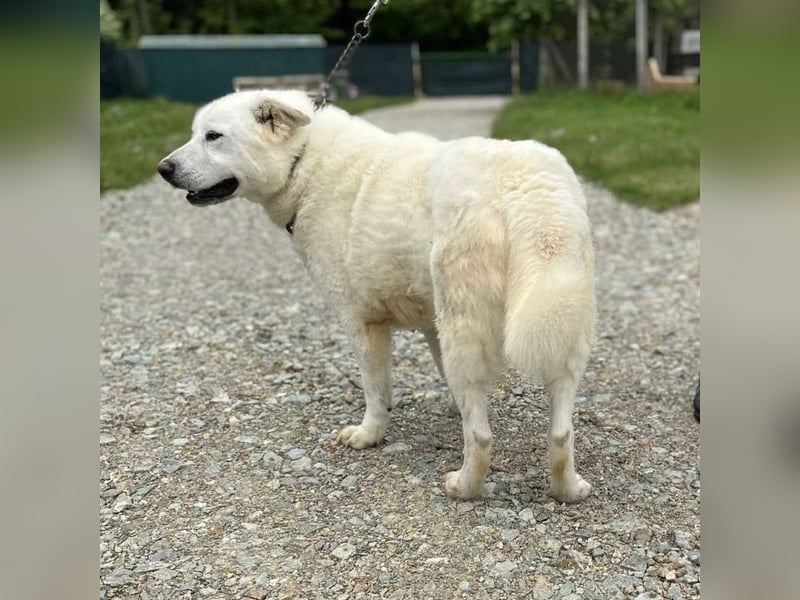 Jelko ein toller Kerl