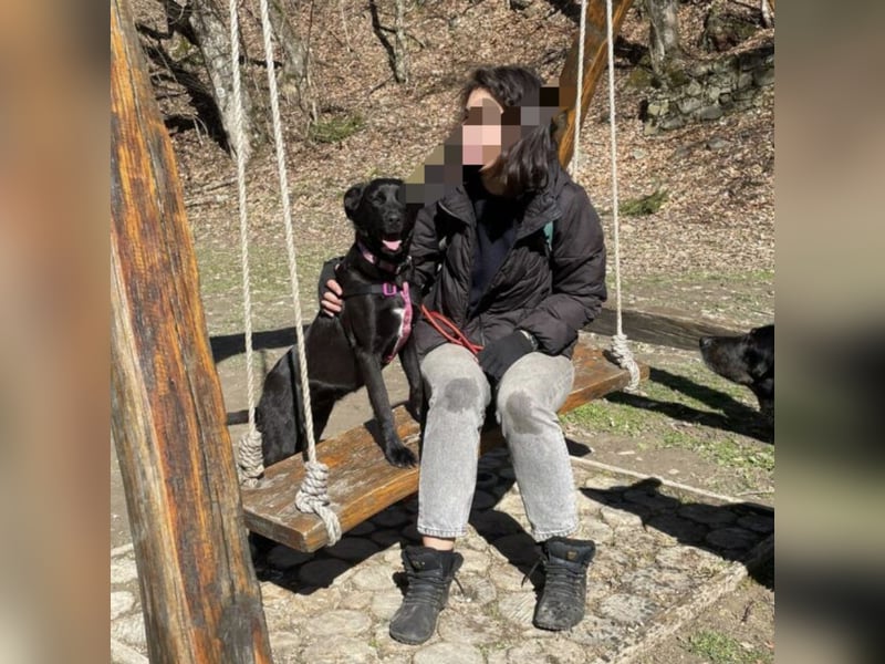 Lexy eine intelligente sportliche Hündin