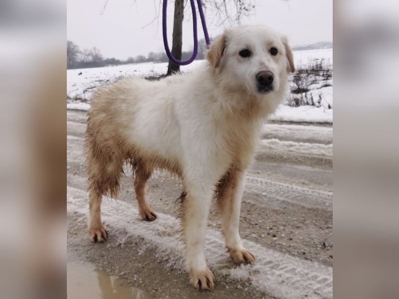 Fiona eine Schneekönigin