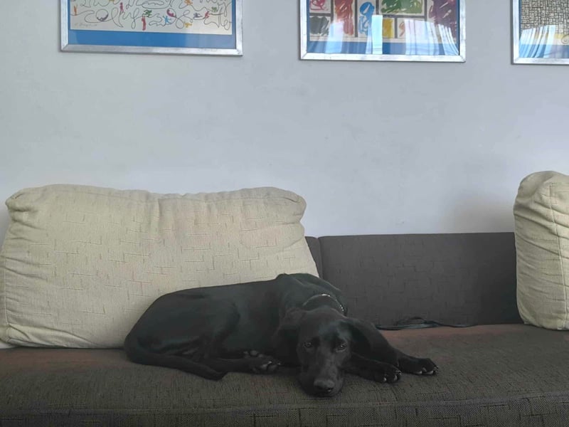 Kan braucht liebevolle Familie