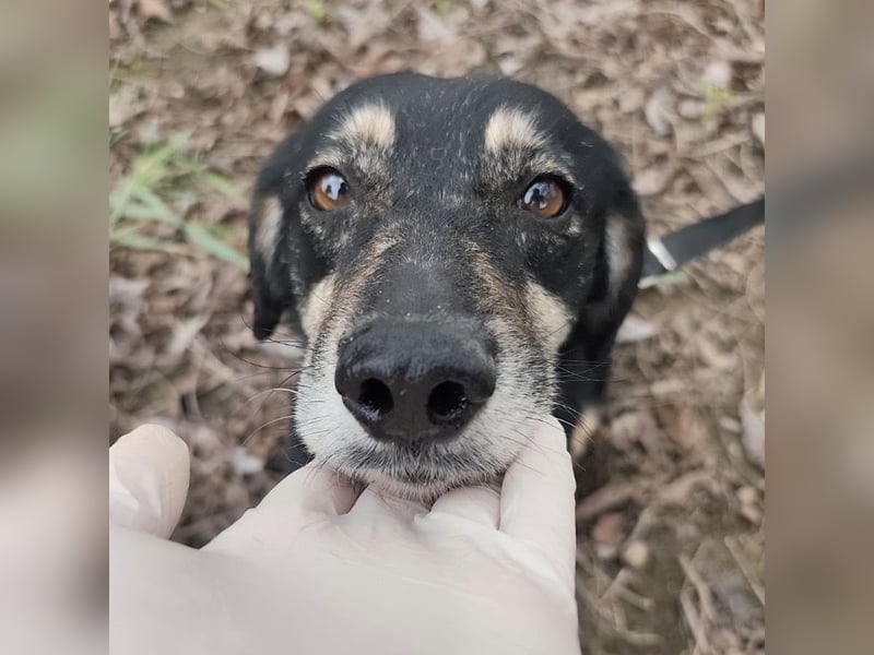 Debby eine gebrochene Seele