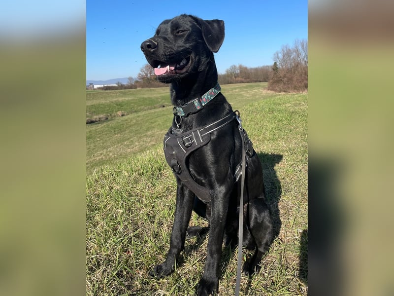 Kan braucht liebevolle Familie