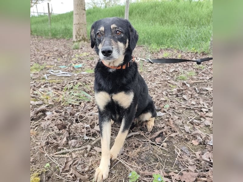 Debby eine gebrochene Seele
