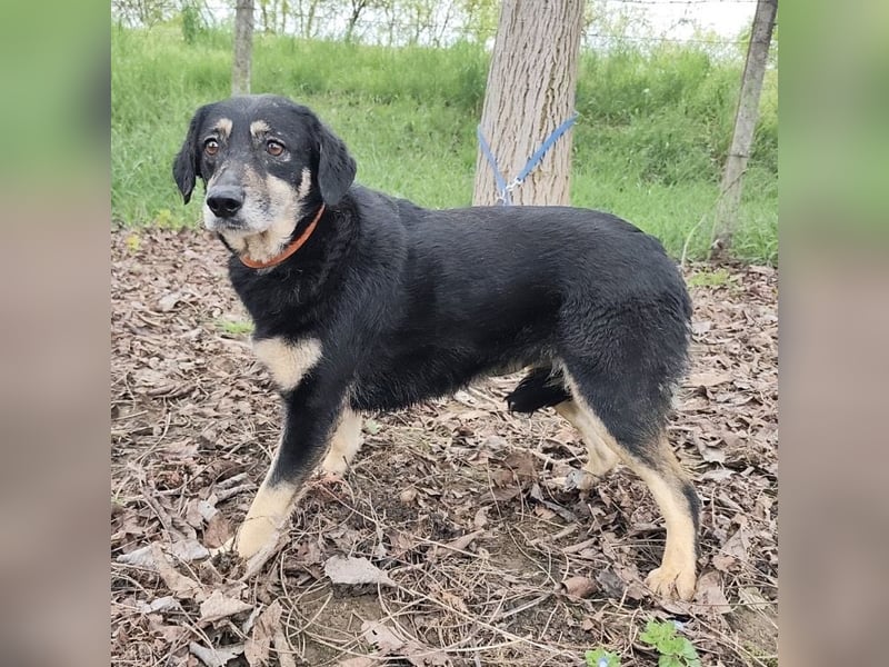 Debby eine gebrochene Seele