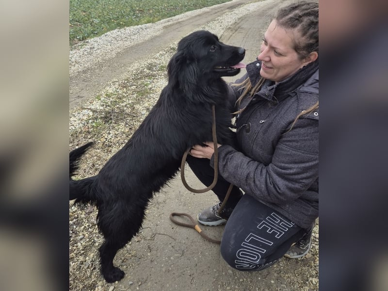 Jonte pure Lebensfreude