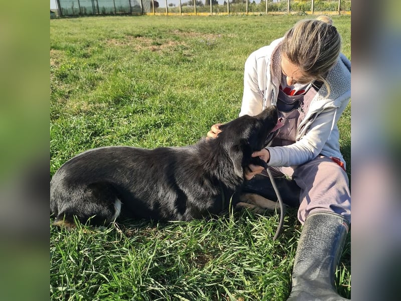 Abby eine gutmütige Seele