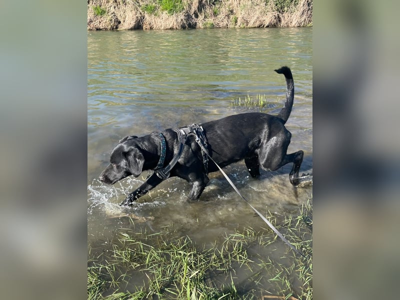 Kan braucht liebevolle Familie