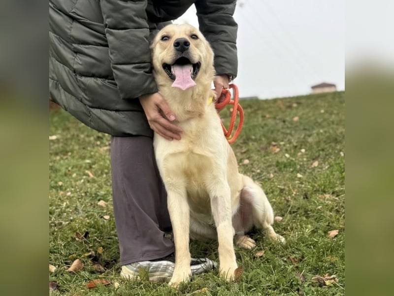 Odin ein richtiger Teeneger