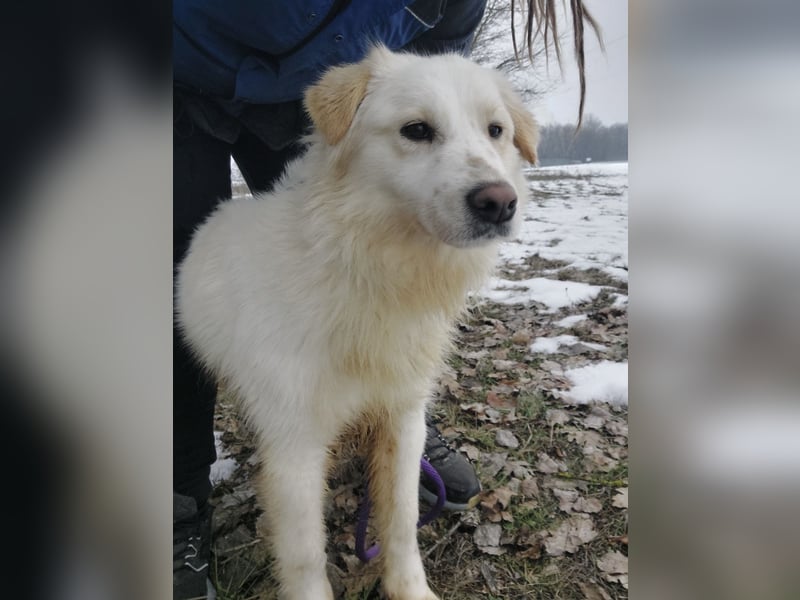 Fiona eine Schneekönigin