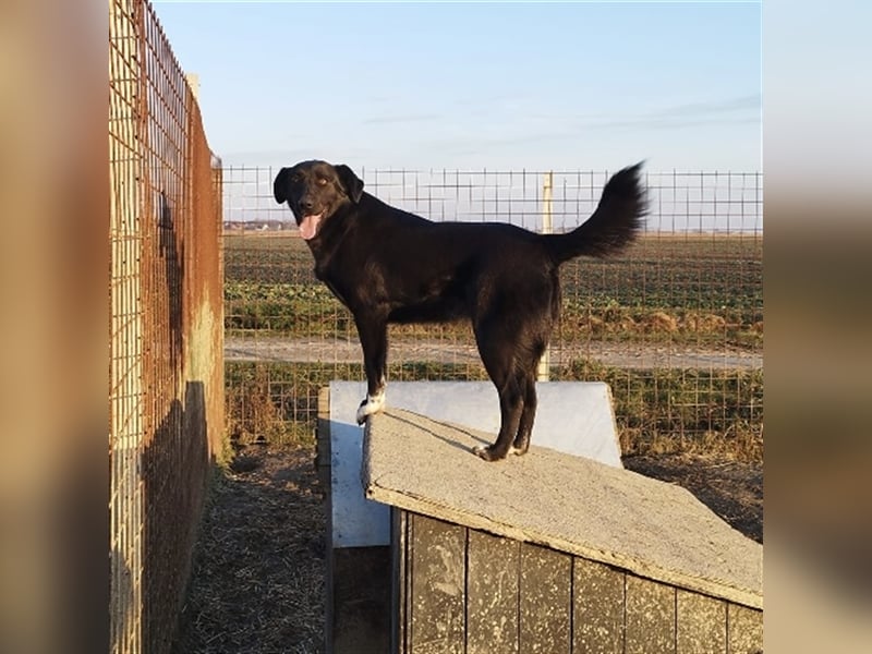 Zita die Großherzige