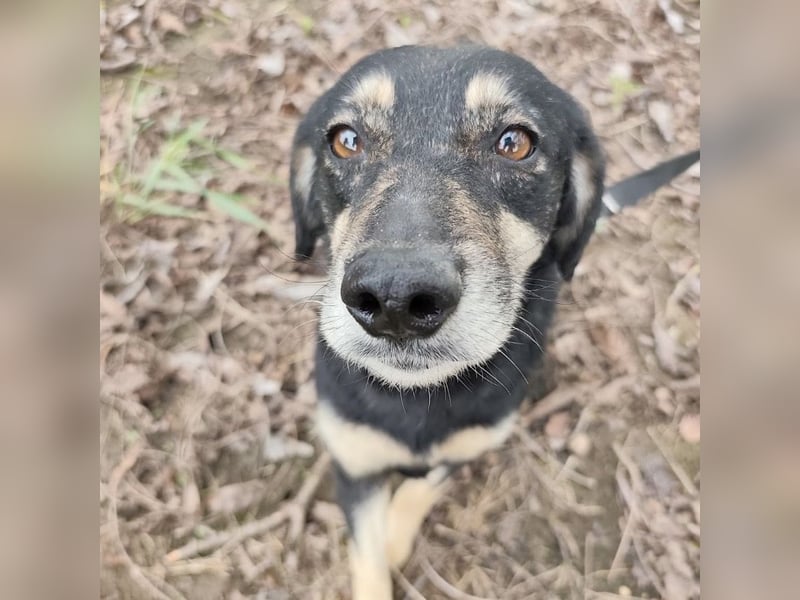 Debby eine gebrochene Seele