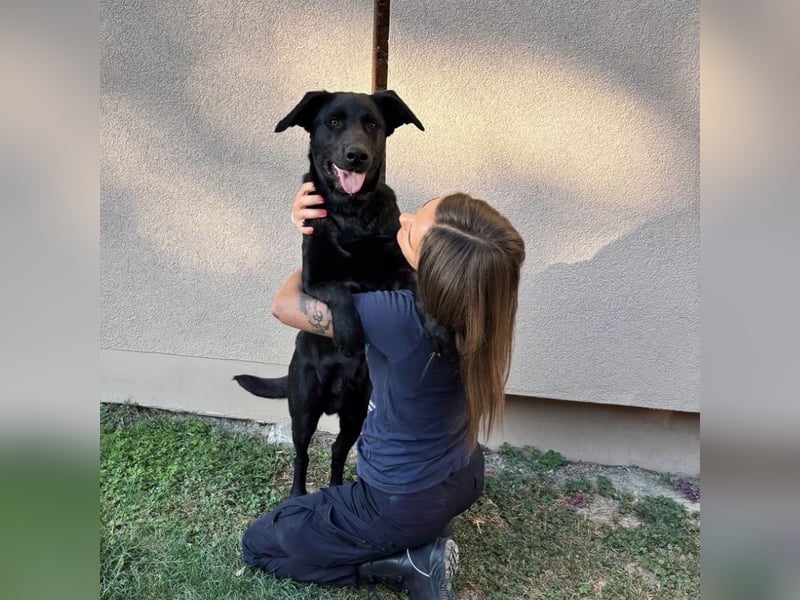 Mio ein treuer wundervoller Freund fürs Leben