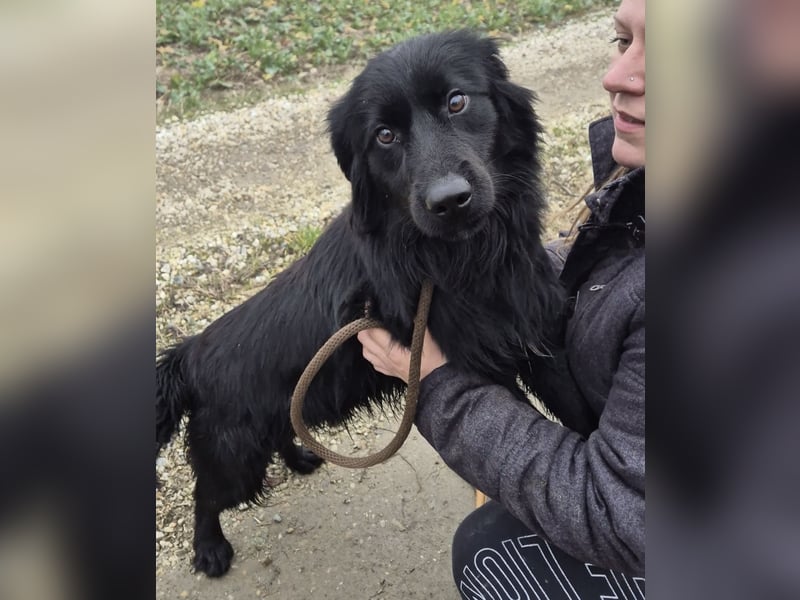 Jonte pure Lebensfreude