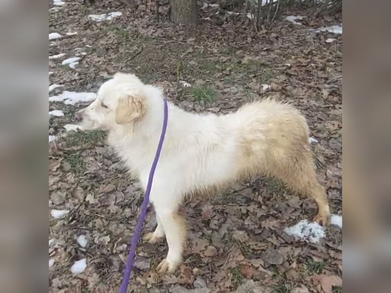 Fiona eine Schneekönigin