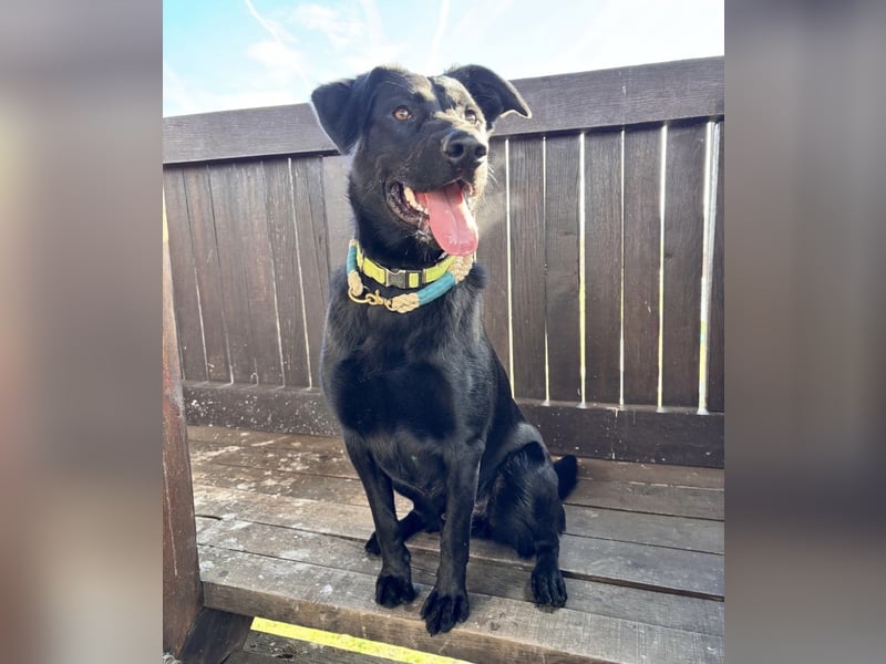 Mio ein treuer wundervoller Freund fürs Leben