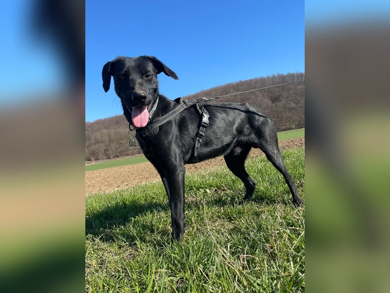 Kan braucht liebevolle Familie