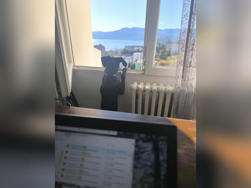 Kan braucht liebevolle Familie