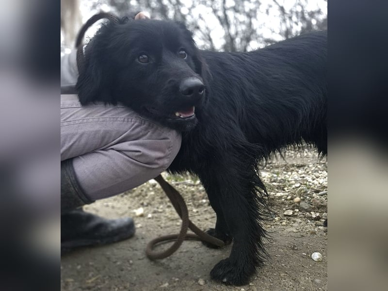 Jonte pure Lebensfreude