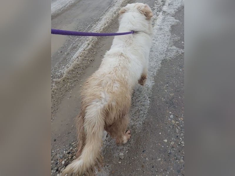 Fiona eine Schneekönigin