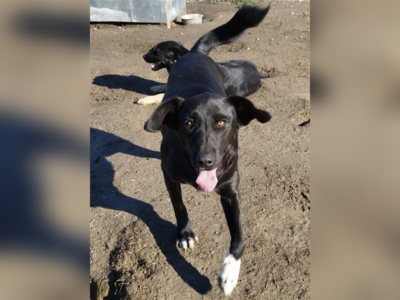 Zita die Großherzige