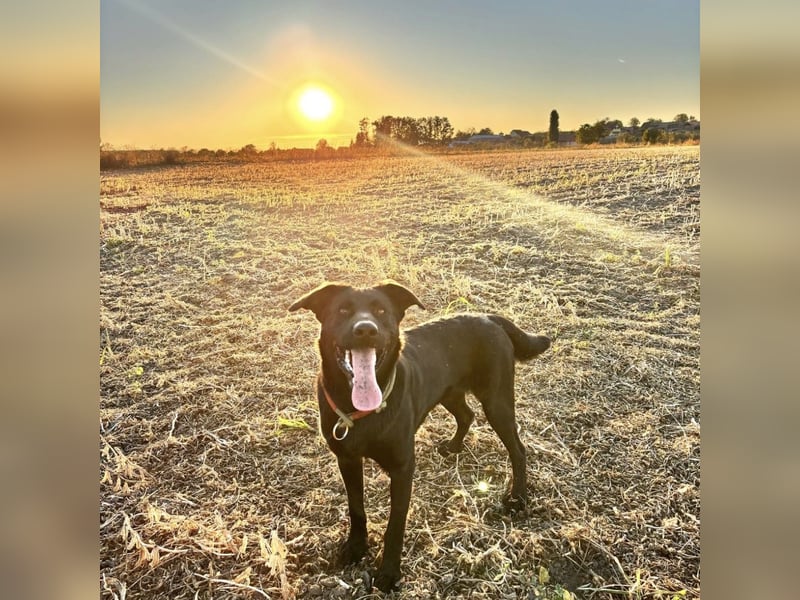 Mio ein treuer wundervoller Freund fürs Leben