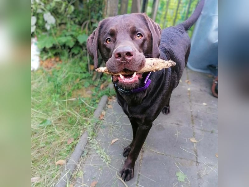 Carlos - ist eine Wasserratte