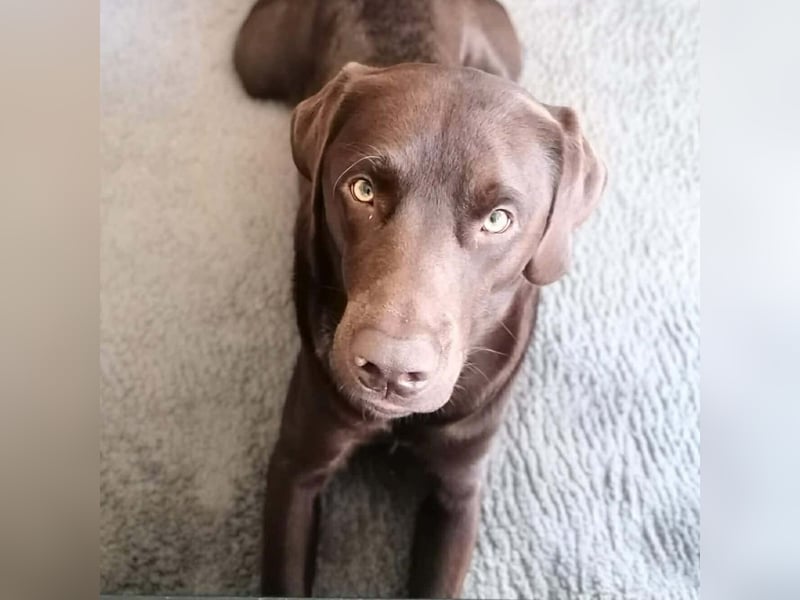 Carlos - ist eine Wasserratte