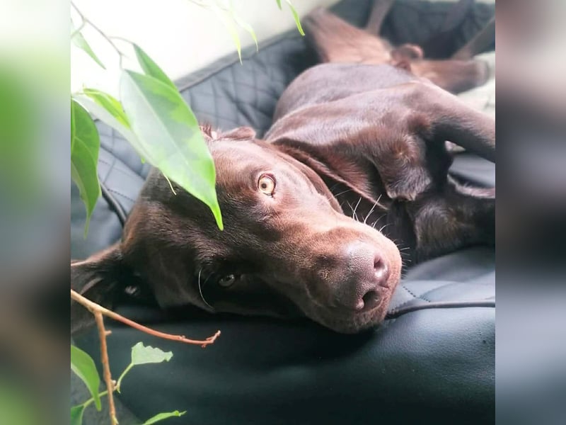 Carlos - ist eine Wasserratte