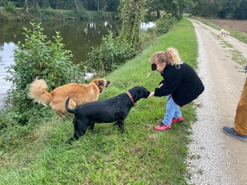 Stella - neues Zuhause gesucht