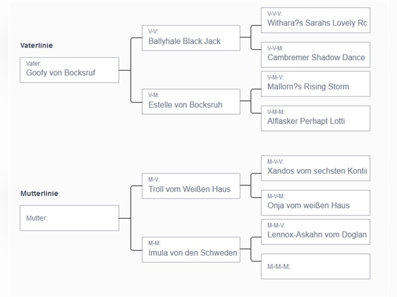 Deckrüde - Labrador-Retriever - Arne von Lammertshof – schwarz – kein Verkauf