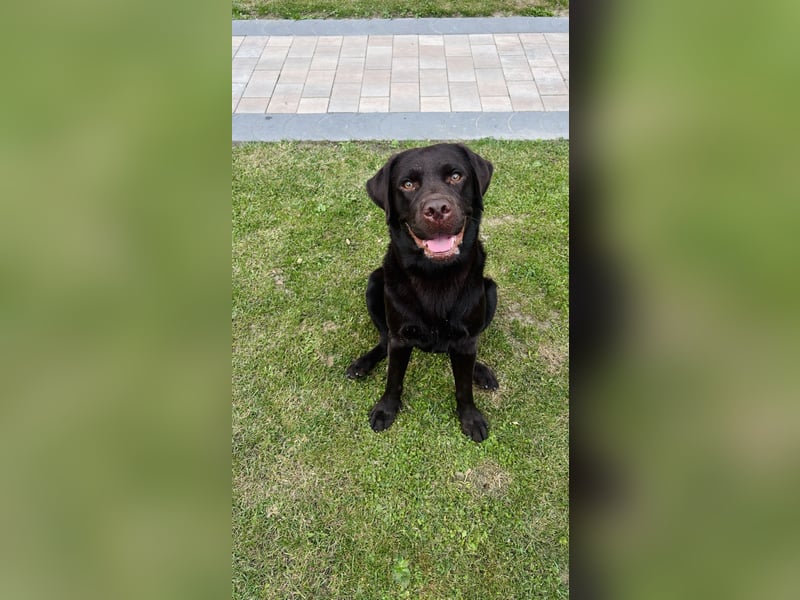 ❤️Klein Elli sucht ihr Zuhause  für immer.❤️