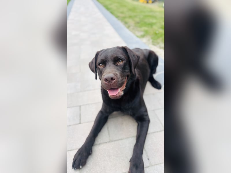 ❤️Klein Elli sucht ihr Zuhause  für immer.❤️