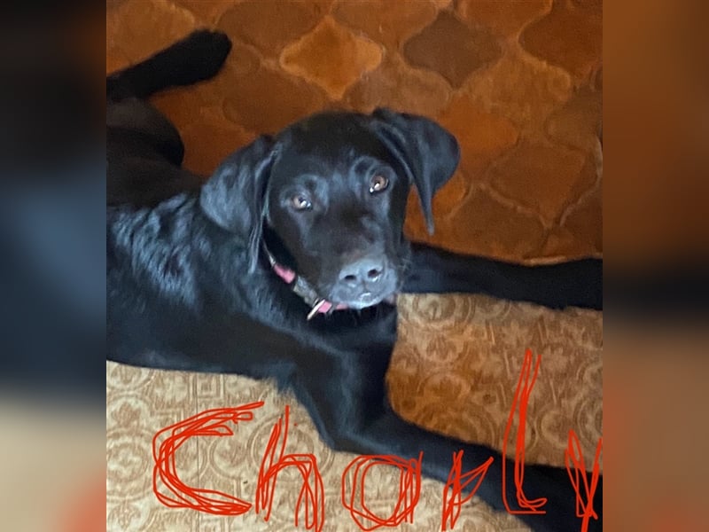 Charly (reserviert)