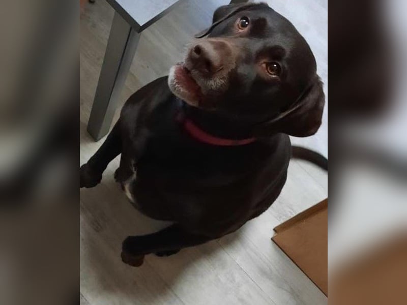 Hallo, ich bin Baloo!