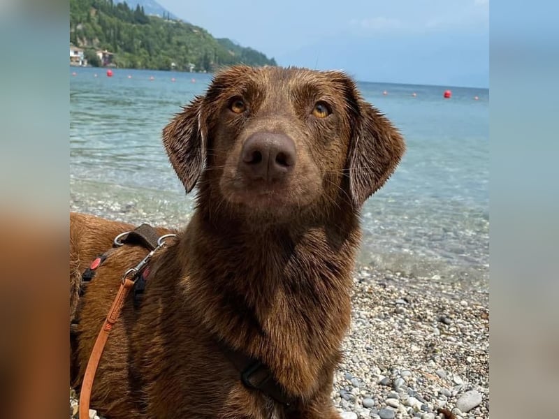 Milo sucht seine Familie