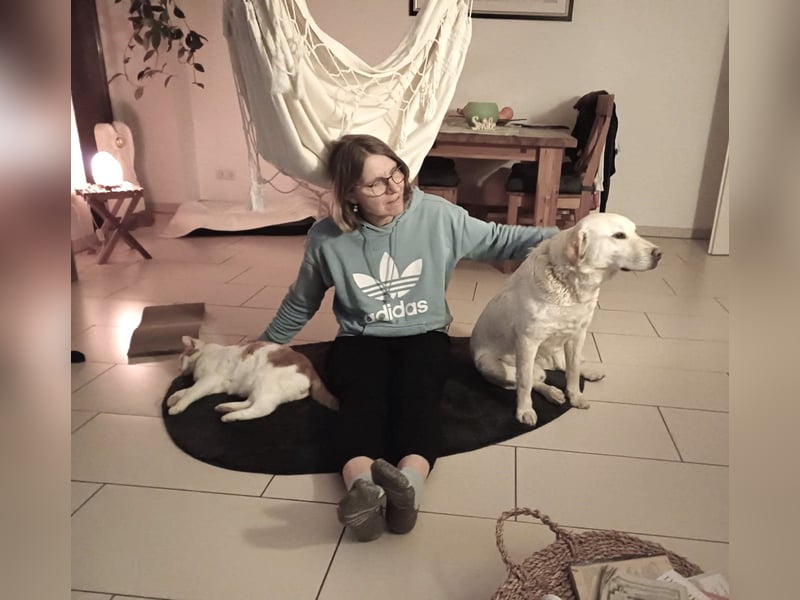 Fifi -  Herzensmenschen gesucht